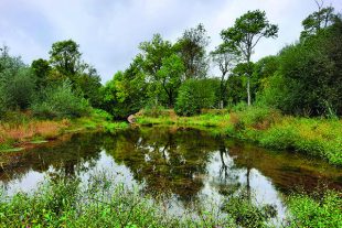 Biodiversité : ce que contient la nouvelle stratégie nationale