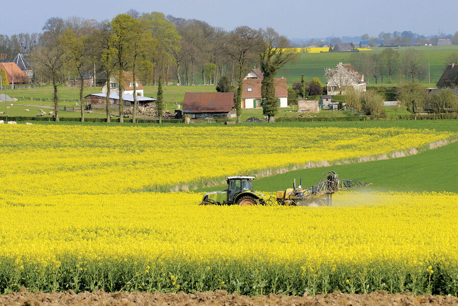 Les grandes entreprises sont à la traine sur l’agriculture régénératrice