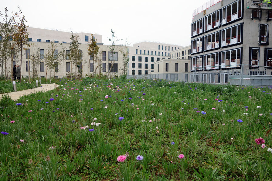 Quand la transition écologique se bâtit à l’échelle de la ville