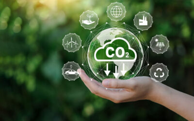 Les PME et ETI françaises passent moins vite à l’action sur la décarbonation qu’en Allemagne ou au Royaume-Uni, selon un sondage